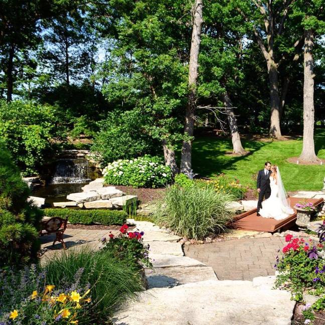 11201868_1643407885900256_8324869235510840868_n